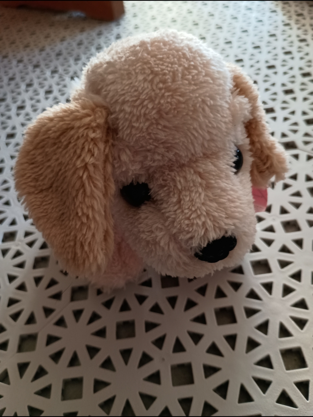 DanDee Plush Dog Toy